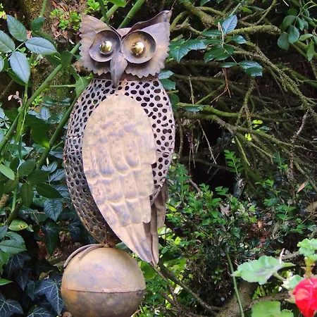 Apartment Afrika Bernkastel-Kues