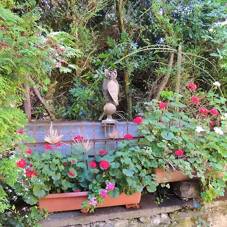 Afrika * Verbandsgemeinde Bernkastel-Kues