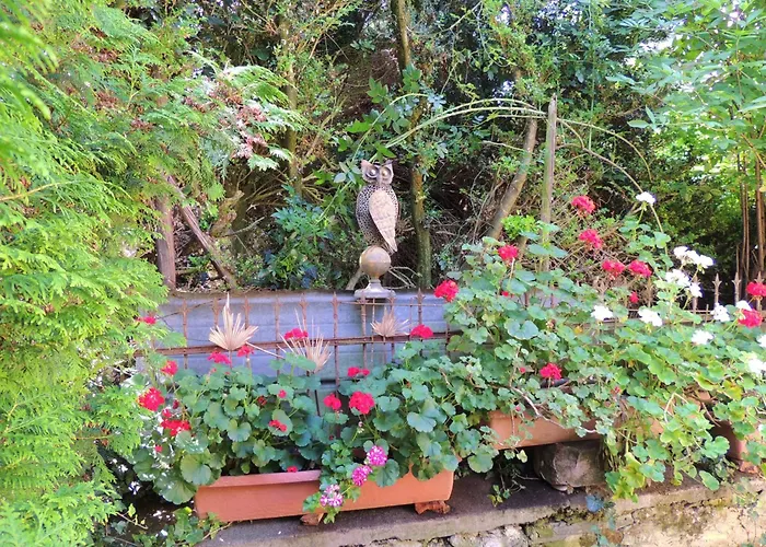 Afrika * ベルンカステル・クース